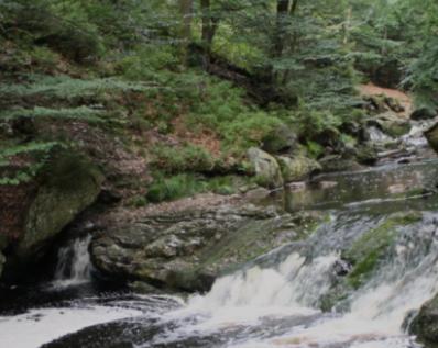 Gite Ardennes Au Coin Du Feu Jacuzzi Sauna Et Nature Жале Екстер'єр фото